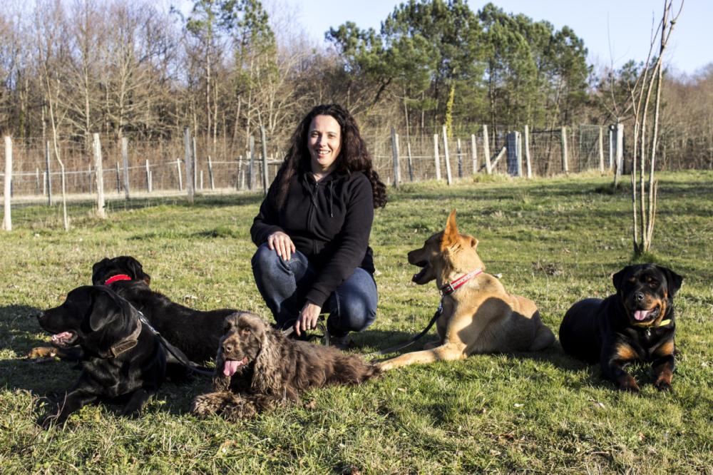 Éducateur canin près de Bordeaux