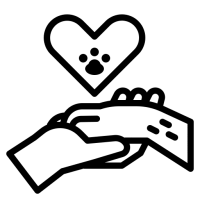 charite