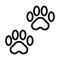 empreinte-de-patte