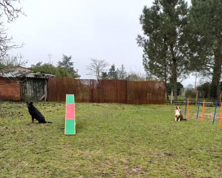 agility